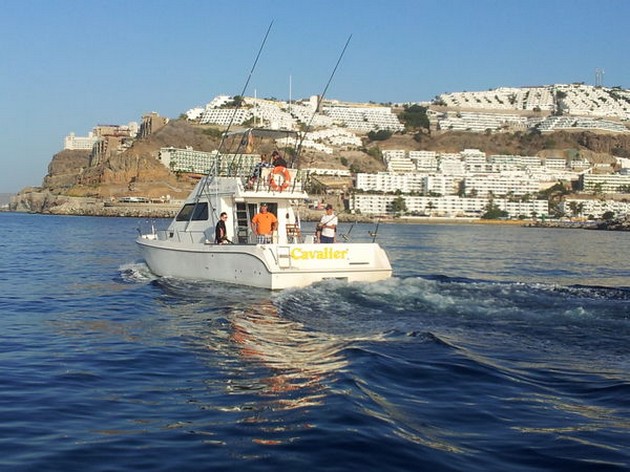 White Marlin på 30 kg linje - Cavalier & Blue Marlin Sport Fishing Gran Canaria