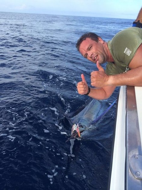 Niels van den Bergh från Holland släppte 400 kg Blue Marlin - Cavalier & Blue Marlin Sport Fishing Gran Canaria