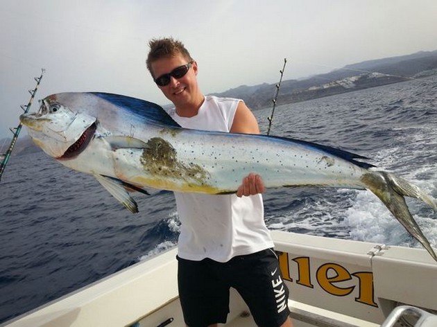 2 Marlins en 1 Dorado. - Cavalier & Blue Marlin Sport Fishing Gran Canaria