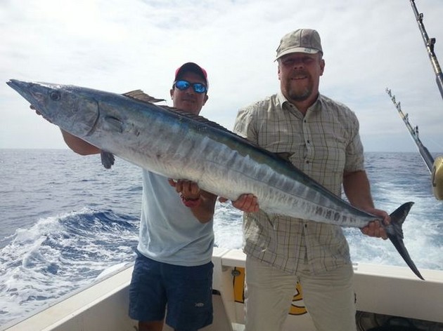 50 kg Wahoo - Cavalier & Blue Marlin Sport Fishing Gran Canaria