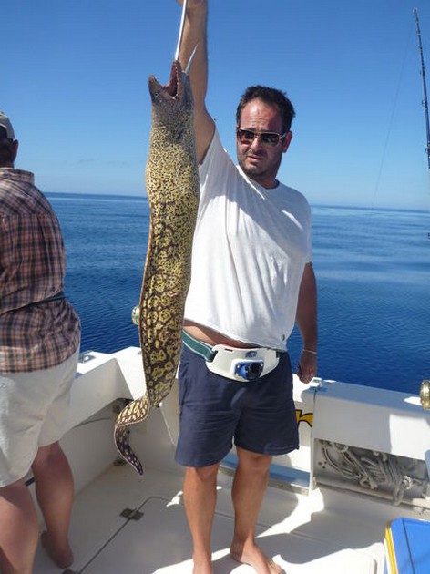 Veckovis granskning - Cavalier & Blue Marlin Sport Fishing Gran Canaria