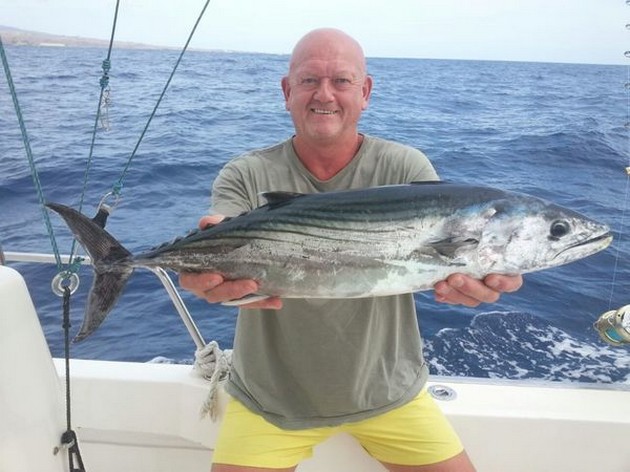 Föreställningen fortsätter! - Cavalier & Blue Marlin Sport Fishing Gran Canaria