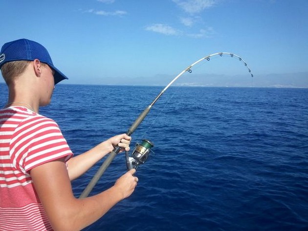 34 grader + - Cavalier & Blue Marlin Sport Fishing Gran Canaria