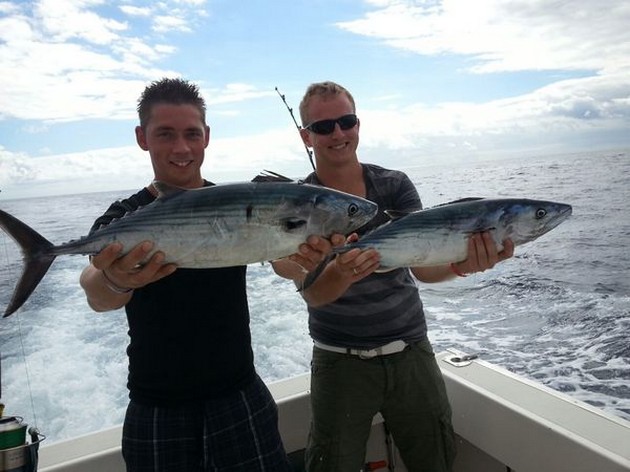 Nordatlantiska Bonito - Cavalier & Blue Marlin Sport Fishing Gran Canaria