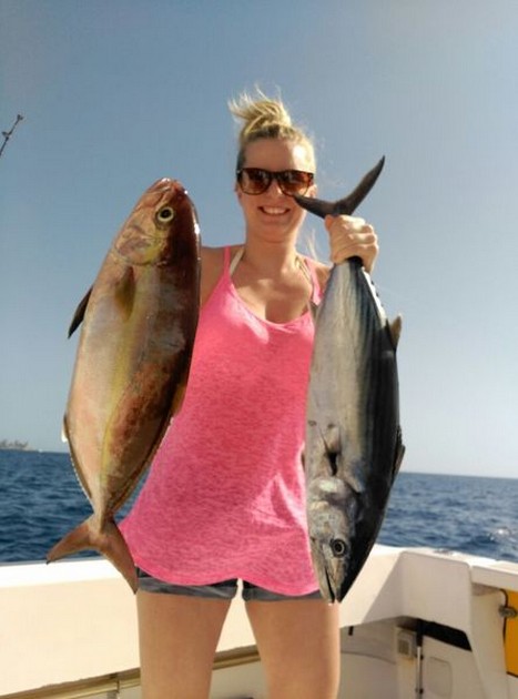 Bra fångster - Cavalier & Blue Marlin Sport Fishing Gran Canaria