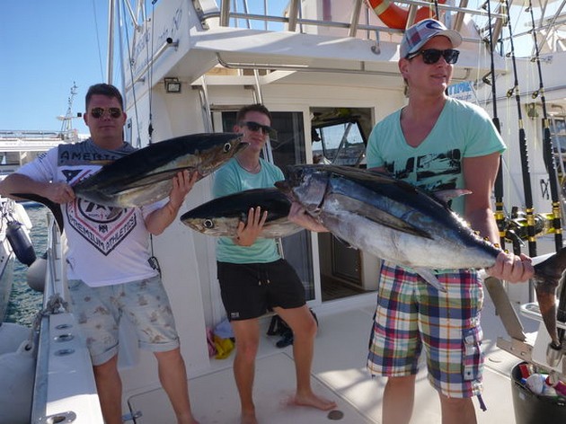 3 Albacores tonfiskar på båten Cavalier - Cavalier & Blue Marlin Sport Fishing Gran Canaria