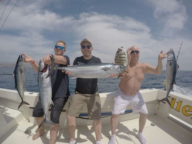 Bra fångster på båten Cavalier - Cavalier & Blue Marlin Sport Fishing Gran Canaria