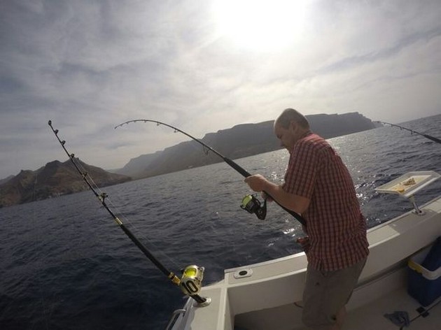 Storögd & blåfenad tonfisk - Cavalier & Blue Marlin Sport Fishing Gran Canaria