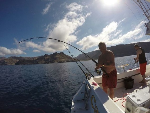 Första marlin? - Cavalier & Blue Marlin Sport Fishing Gran Canaria