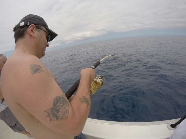 Kristallklart vatten och stora skolor med makrill - Cavalier & Blue Marlin Sport Fishing Gran Canaria