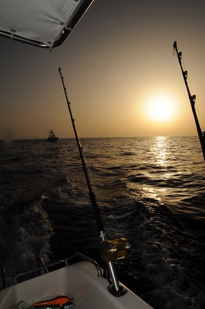 Vem vet att imorgon är vår tur? - Cavalier & Blue Marlin Sport Fishing Gran Canaria