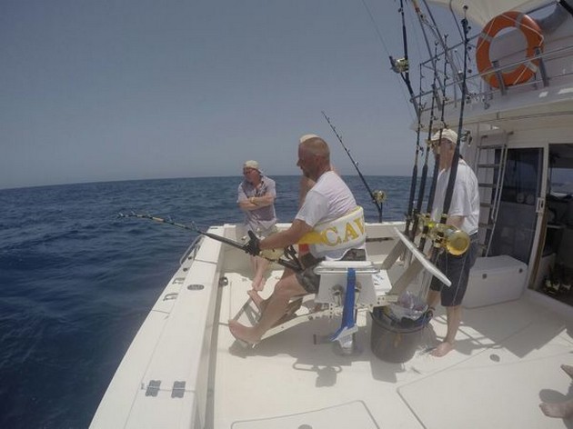 Bluefin Tuna ready to release Cavalier & Blue Marlin Sport Fishing Gran Canaria