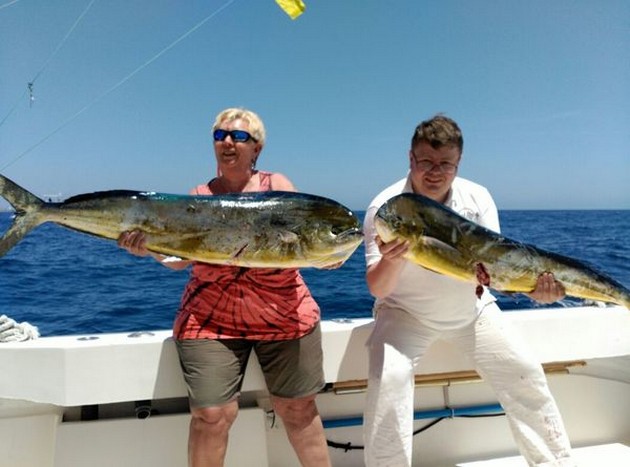 Cavalier ligger stor skola med jakt Dorado - Cavalier & Blue Marlin Sport Fishing Gran Canaria