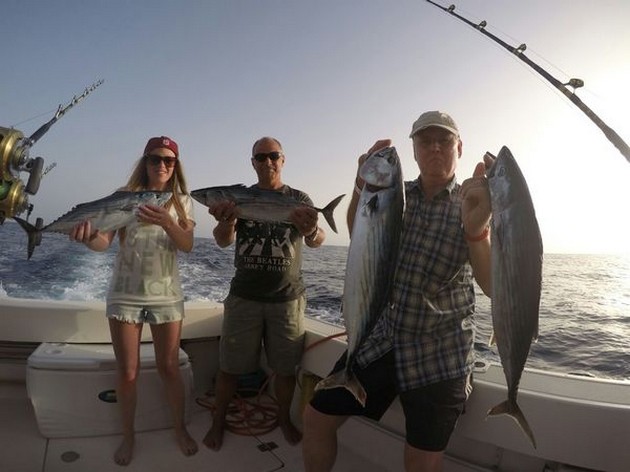 Nordatlantiska Bonitos - Cavalier & Blue Marlin Sport Fishing Gran Canaria