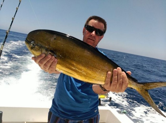 Dorado fångad av Willem Jan van Eijk från Holland - Cavalier & Blue Marlin Sport Fishing Gran Canaria