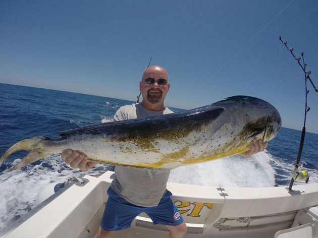 Dorado fångad av Huw Williams från Wales - Cavalier & Blue Marlin Sport Fishing Gran Canaria