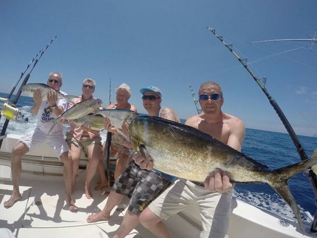 Dorado Explosion - Cavalier & Blue Marlin Sport Fishing Gran Canaria