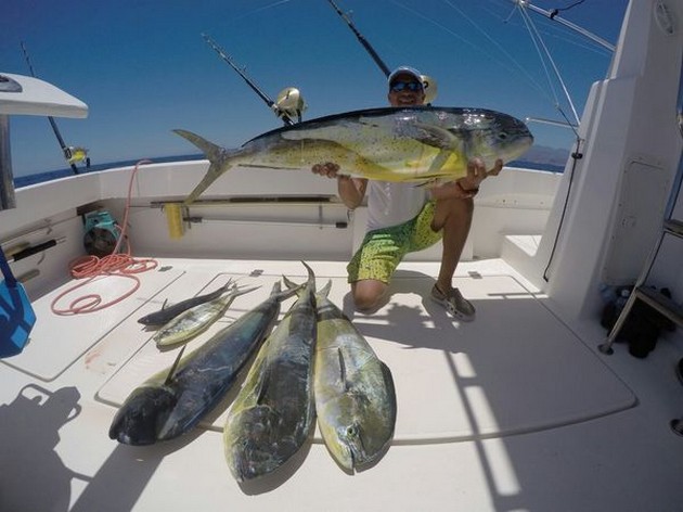 Stora fångster av Blue Marlin och stora Dorado's - Cavalier & Blue Marlin Sport Fishing Gran Canaria