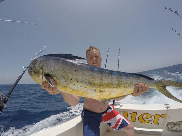 Trippelanslutning Dorado - Cavalier & Blue Marlin Sport Fishing Gran Canaria