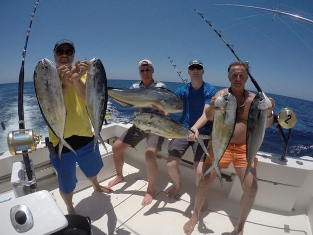 Doradoexplosion ombord på Cavalier - Cavalier & Blue Marlin Sport Fishing Gran Canaria