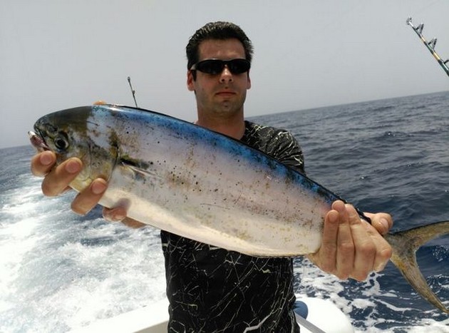 Det kan inte vara varje dag en `Dia de Fiësta` - Cavalier & Blue Marlin Sport Fishing Gran Canaria