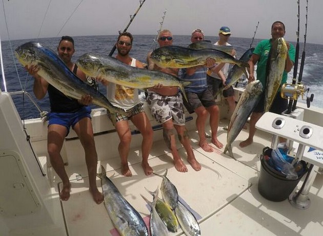 Mer än 275 kg Dorado - Cavalier & Blue Marlin Sport Fishing Gran Canaria