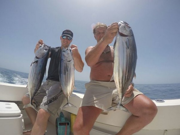 Dorado & Skipjacks - Cavalier & Blue Marlin Sport Fishing Gran Canaria