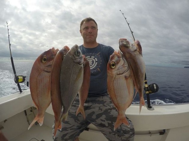 Bra fångster på Cavalier - Cavalier & Blue Marlin Sport Fishing Gran Canaria