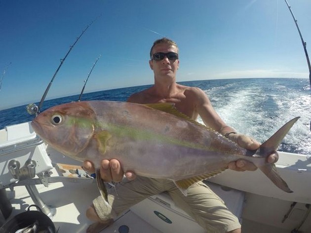 Måttliga fångster - Cavalier & Blue Marlin Sport Fishing Gran Canaria