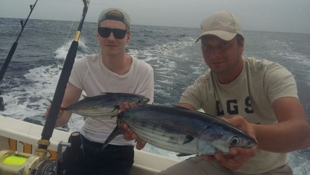 Skipjack tonfisk - Cavalier & Blue Marlin Sport Fishing Gran Canaria