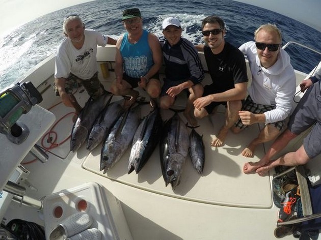 5 Albacores - Cavalier & Blue Marlin Sport Fishing Gran Canaria