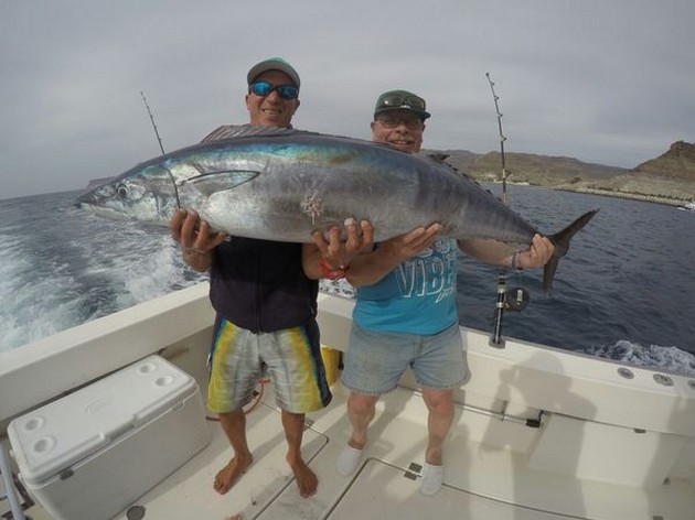 Wahoo, Dorado och massor av Seabreams - Cavalier & Blue Marlin Sport Fishing Gran Canaria