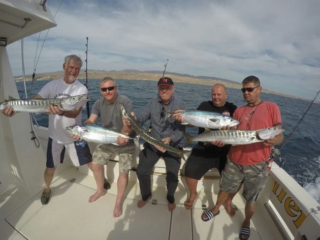 3 Baracuda, 2 nordatlantiska Bonito och 9 strålar - Cavalier & Blue Marlin Sport Fishing Gran Canaria