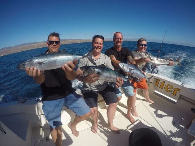 Bra fångster på Cavalier - Cavalier & Blue Marlin Sport Fishing Gran Canaria