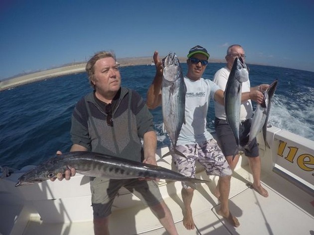 Barracuda och Atlantic Bonito - Cavalier & Blue Marlin Sport Fishing Gran Canaria