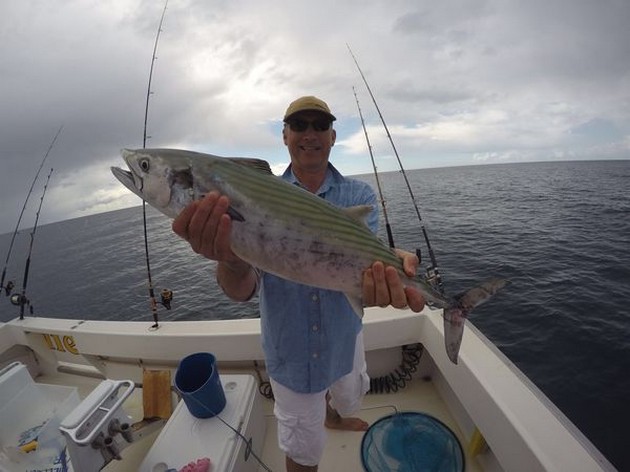 Regnig - Cavalier & Blue Marlin Sport Fishing Gran Canaria