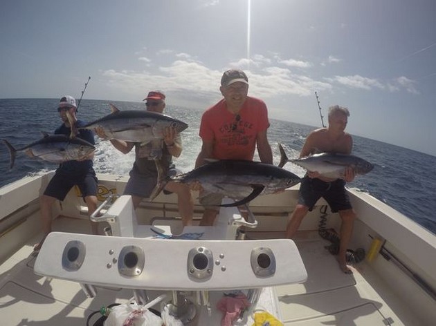 4 Albacores fångade av Cavalier - Cavalier & Blue Marlin Sport Fishing Gran Canaria