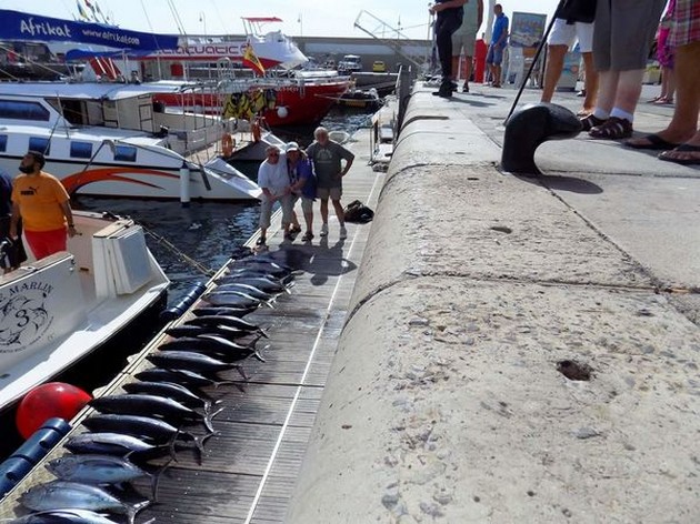 Tonfisk Explosión på Gran Canaria - Cavalier & Blue Marlin Sport Fishing Gran Canaria