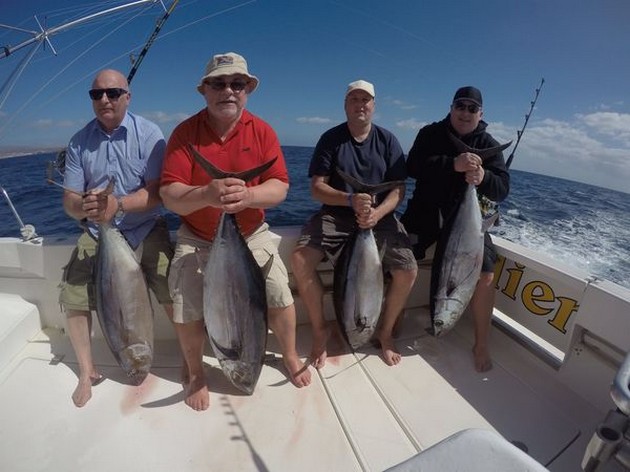 Föreställningen fortsätter - Cavalier & Blue Marlin Sport Fishing Gran Canaria