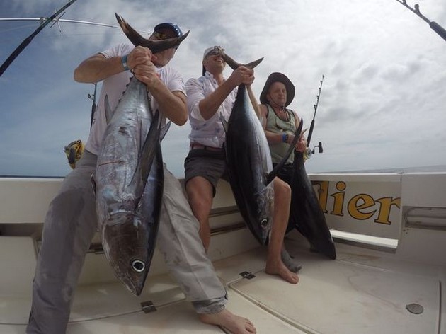 3 Albacores - Cavalier & Blue Marlin Sport Fishing Gran Canaria