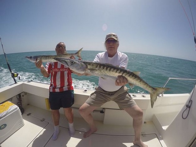 2 Barracuda & 3 vanliga stingrays - Cavalier & Blue Marlin Sport Fishing Gran Canaria