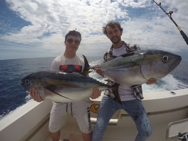 7 Big Eye Tonfisk - Cavalier & Blue Marlin Sport Fishing Gran Canaria