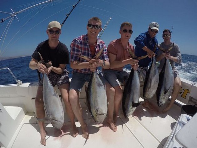 5 stora ögon - Cavalier & Blue Marlin Sport Fishing Gran Canaria