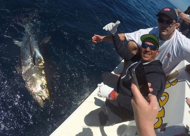 500 kg blåfenad - Cavalier & Blue Marlin Sport Fishing Gran Canaria