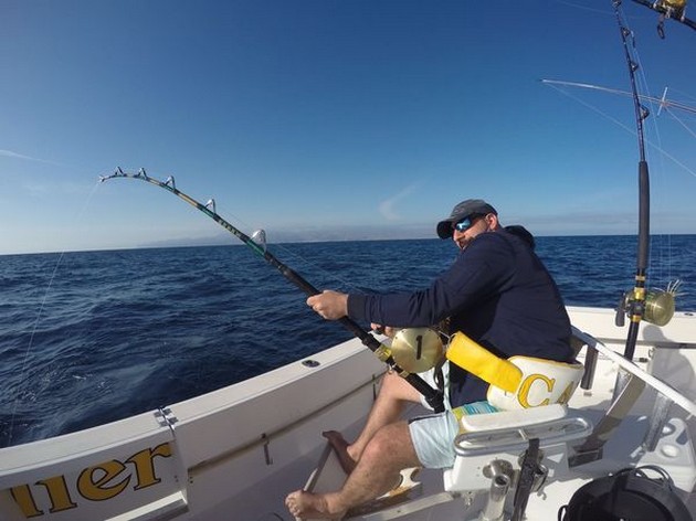 Endast båten Cavalier lyckades - Cavalier & Blue Marlin Sport Fishing Gran Canaria