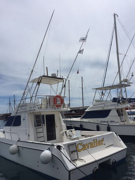 The Cavalier 4 dagar till drydock - Cavalier & Blue Marlin Sport Fishing Gran Canaria