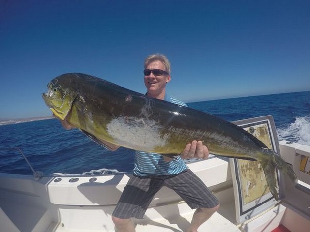 Dorado fångad av Kate Herje från Norge - Cavalier & Blue Marlin Sport Fishing Gran Canaria