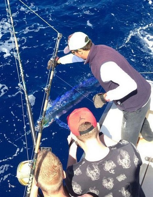 Bra dag - Cavalier & Blue Marlin Sport Fishing Gran Canaria