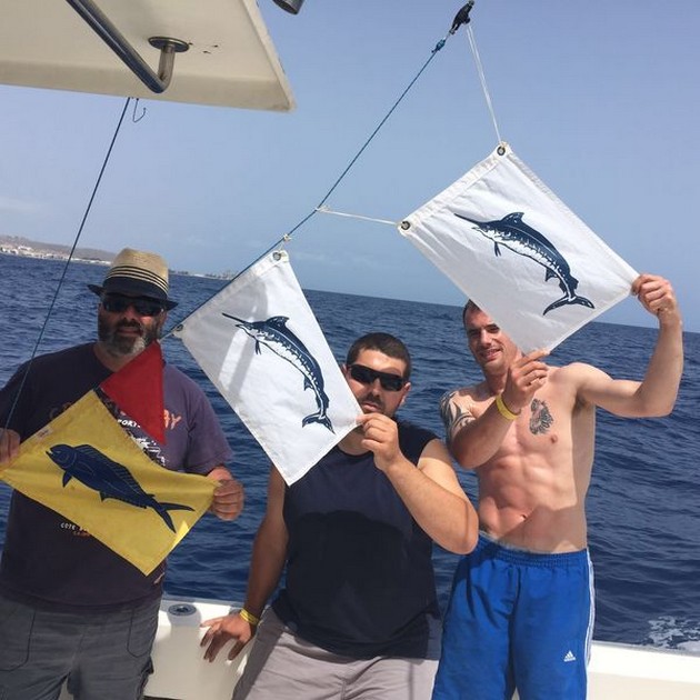 Cavalier släppte igen 2 BLÅ Marlin och fångade Dorado på £ 55 - Cavalier & Blue Marlin Sport Fishing Gran Canaria