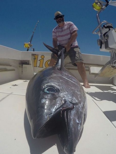 Big Eye Tonfisk fångad av John Gregory. - Cavalier & Blue Marlin Sport Fishing Gran Canaria